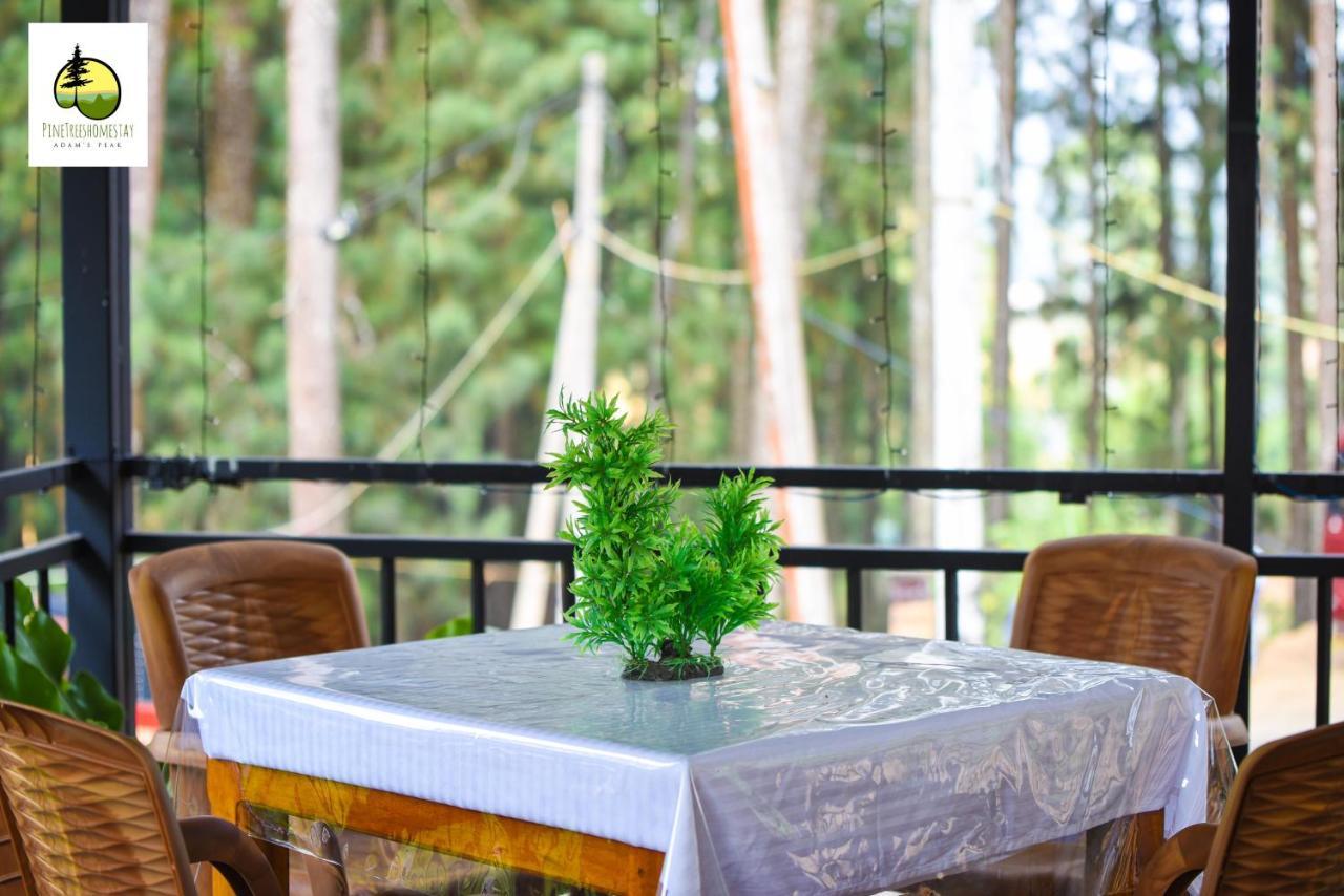 Pine Trees Homestay Наллатания Экстерьер фото